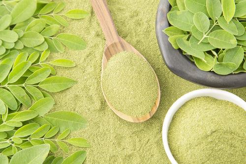 Moringa leaf powder in a wooden spoon, bowl, and fresh moringa leaves on a table