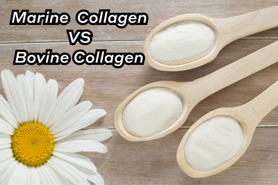 Marine Collagen vs Bovine Collagen: Exploring the Differences and Choosing the Right Option