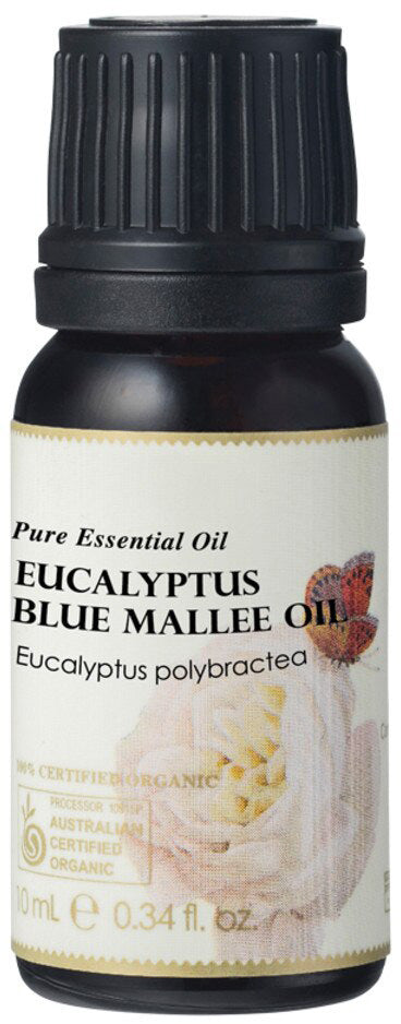 Ausganica Organic Essential Oil Eucalyptus Blue Mallee 10ml