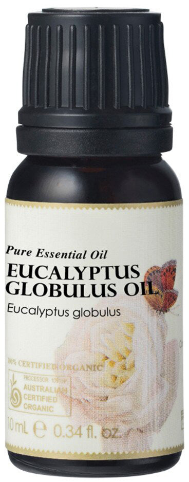 Ausganica Organic Essential Oil Eucalyptus Globulus 10ml