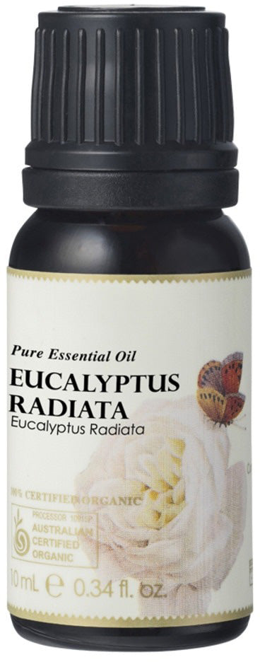 Ausganica Organic Essential Oil Eucalyptus Radiata 10ml