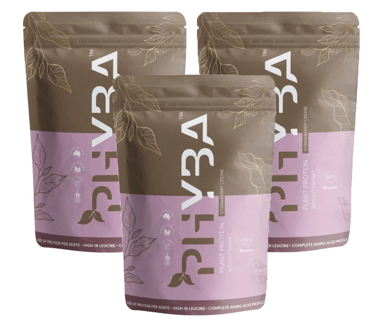 Phyba Plant Protein Bundle Pack (900g x 3)