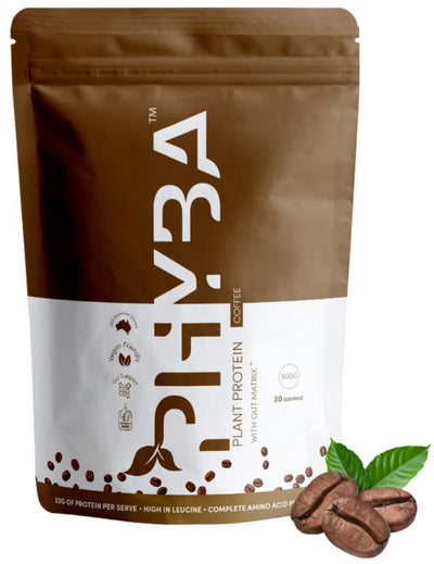 Phyba Plant Protein 900g