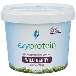 Ezy Protein Silk Super Food Blend - Health Co